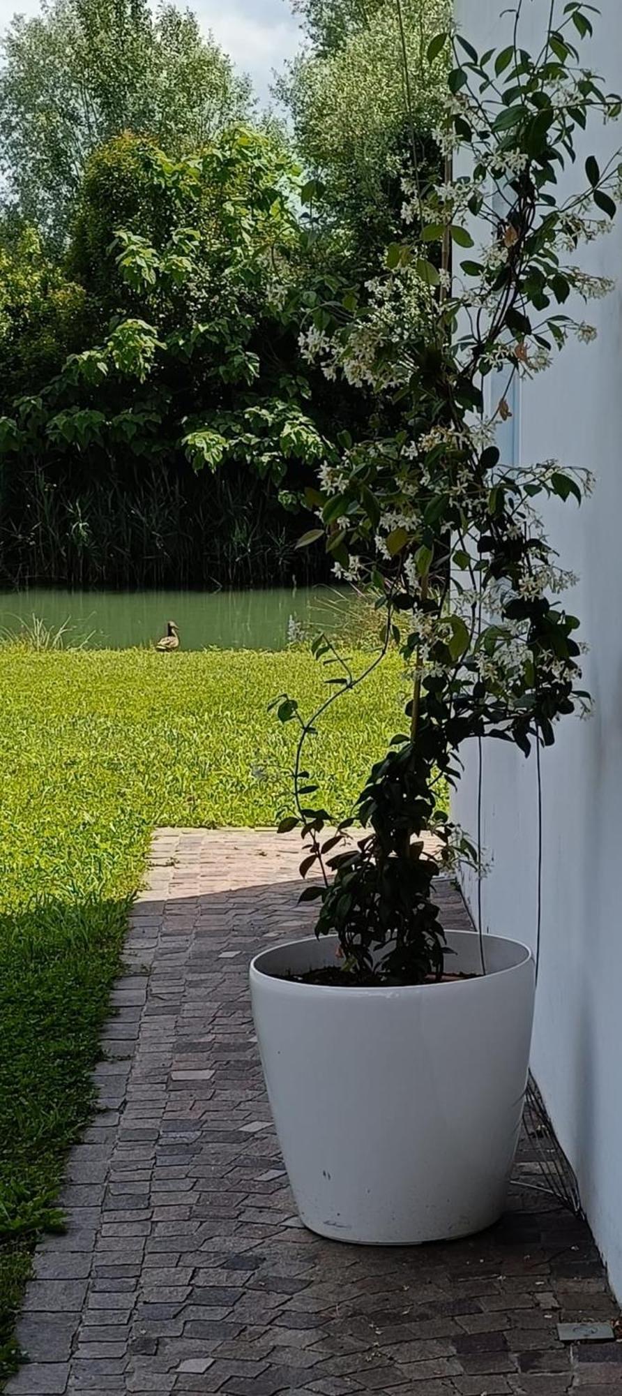 Locazione Riv'Al Sile Hotel Quinto Di Treviso Exterior photo